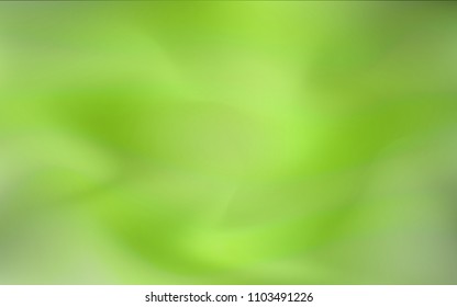 Light Green vector abstract cover. Brand-new colored illustration in blurry style with gradient. The textured pattern can be used for background.