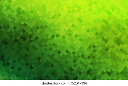 Light Green vector abstract curved pattern. Creative geometric illustration in Origami style with gradient. A new texture for your design.