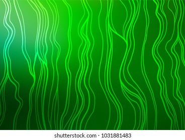 Light Green vector abstract doodle texture. Glitter abstract illustration with doodles and Zen tangles. A new texture for your design.