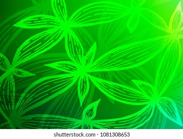 Light Green vector abstract doodle template. Colorful abstract illustration with lines in Asian style. The textured pattern can be used for website.