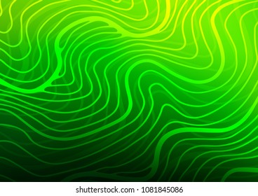 Light Green vector abstract doodle background. Ethnic elegant natural pattern with gradient. The pattern can be used for coloring books and pages for kids.