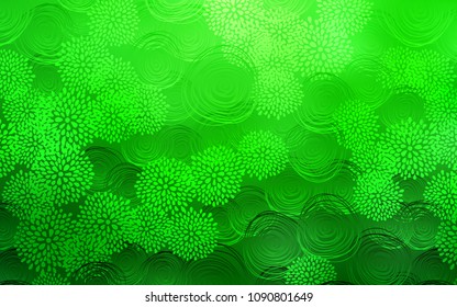 Light Green vector abstract doodle pattern. Decorative shining illustration with doodles on abstract template. The pattern can be used for coloring books and pages for kids.