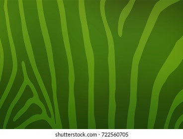 Light Green vector abstract doodle template. Colorful abstract illustration with lines in Asian style. The elegant pattern can be used as a part of a brand book. Light Green vector abstract doodle template. Colorful abstract illustration with lines in Asian style. The elegant pattern can be used as a part of a brand book.