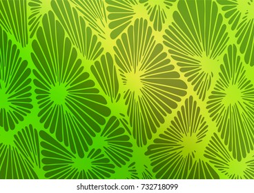 Light Green vector abstract doodle texture. An elegant bright illustration with lines in Natural style. The doodle design can be used for your web site.