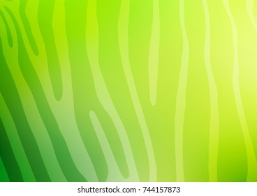 Light Green vector abstract doodle texture. Shining colored illustration with doodles in Zen tangle style. The doodle design can be used for your web site.
