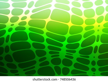 Light Green vector abstract doodle background. Decorative shining illustration with doodles on abstract template. The best blurred design for your business.