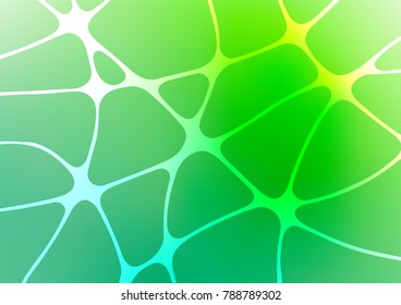Light Green vector abstract doodle background. Blurred decorative design in Indian style with Zen tangles. The completely new template can be used for your brand book.