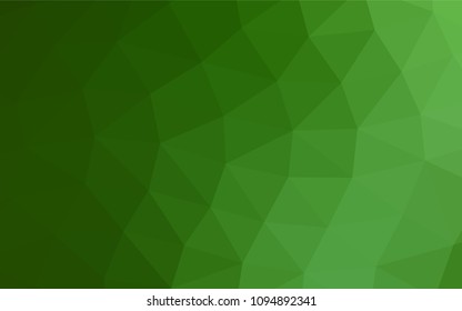 Light Green vector abstract mosaic pattern. An elegant bright illustration with gradient. A completely new design for your business.