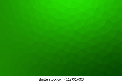 Light Green vector abstract mosaic background. Glitter abstract illustration with an elegant triangles. Pattern for a brand book's backdrop.