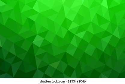 Light Green vector abstract mosaic backdrop. Colorful illustration in polygonal style with gradient. A completely new design for your leaflet.