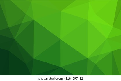 Light Green vector abstract mosaic backdrop. Shining illustration, which consist of triangles. Brand new style for your business design.