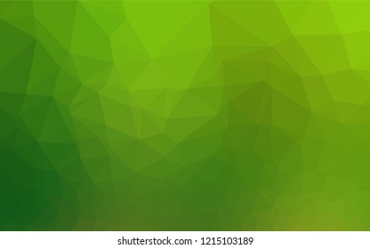 Light Green vector abstract mosaic pattern. A completely new color illustration in a vague style. The elegant pattern can be used as part of a brand book.