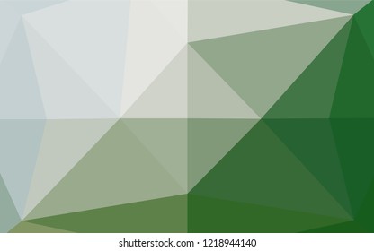 Light Green vector abstract mosaic background. A sample with polygonal shapes. A completely new template for your business design.