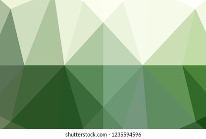 Light Green vector abstract mosaic backdrop. Glitter abstract illustration with an elegant design. The polygonal design can be used for your web site.