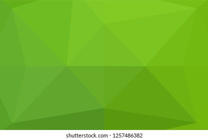 Light Green vector abstract mosaic background. A completely new color illustration in a vague style. The completely new template can be used for your brand book.