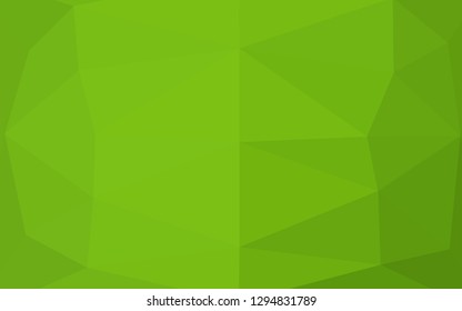 Light Green vector abstract mosaic background. Shining illustration, which consist of triangles. Completely new template for your business design.