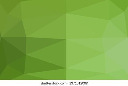 Light Green vector abstract mosaic background. Shining colored illustration in a Brand new style. Triangular pattern for your business design.