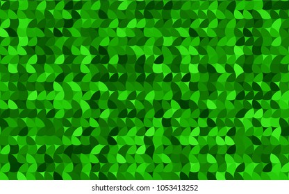 Light Green vector abstract pattern with circles. Geometry template for your business design. Background with colored spheres.