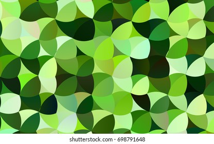 Light Green vector abstract pattern with circles. Geometry template for your business design. Background with colored spheres.