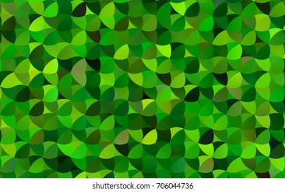 Light Green vector abstract pattern with circles. Geometry template for your business design. Background with colored spheres.