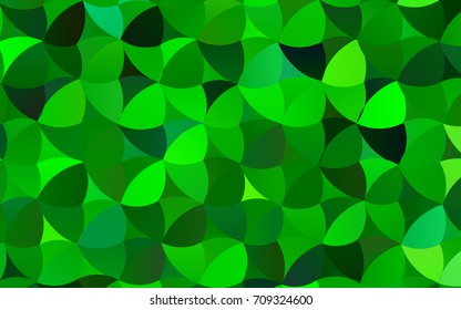 Light Green vector abstract pattern with circles. Geometry template for your business design. Background with colored spheres.