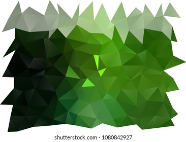 Light Green vector abstract polygonal background. Shining illustration, which consist of triangles. The template can be used as a background for cell phones.