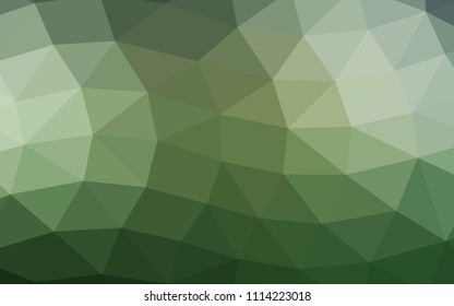 Light Green vector abstract polygonal abstract polygonal. A vague abstract illustration with gradient. The completely new template can be used for your brand book.