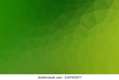 Light Green vector abstract polygonal texture. Creative geometric illustration in Origami style with gradient. Brand new style for your business design.
