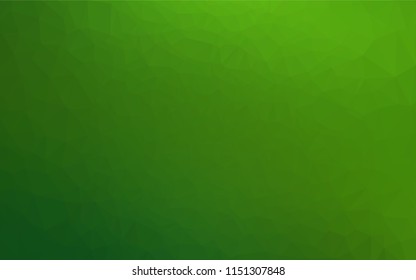 Light Green vector abstract polygonal cover. Shining illustration, which consist of triangles. A completely new design for your business.