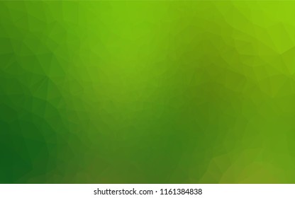 Light Green vector abstract polygonal cover. Colorful illustration in abstract style with gradient. The best triangular design for your business.