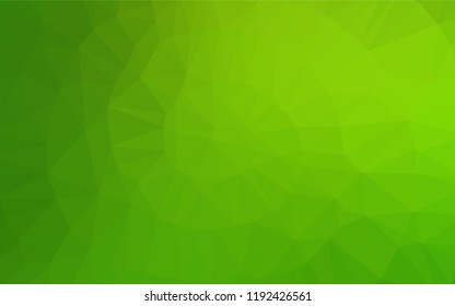 Light Green vector abstract polygonal cover. Colorful abstract illustration with gradient. The elegant pattern can be used as part of a brand book.