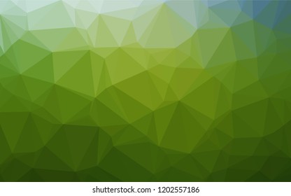 Light Green vector abstract polygonal texture. Geometric illustration in Origami style with gradient.  Brand new style for your business design.
