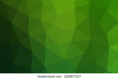 Light Green vector abstract polygonal cover. Brand new colored illustration in blurry style with gradient. A completely new design for your business.