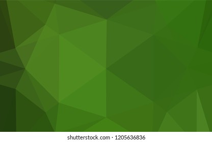 Light Green vector abstract polygonal cover. Shining colored illustration in a Brand new style. A completely new template for your business design.