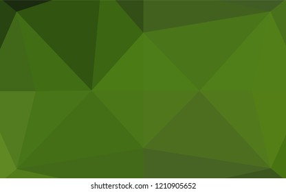 Light Green vector abstract polygonal layout. Triangular geometric sample with gradient.  A completely new template for your business design.