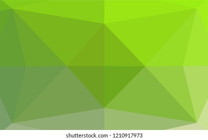 Light Green vector abstract polygonal texture. A completely new color illustration in a vague style. Brand new design for your business.