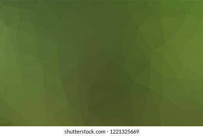 Light Green vector abstract polygonal cover. Brand new colored illustration in blurry style with gradient. The textured pattern can be used for background.
