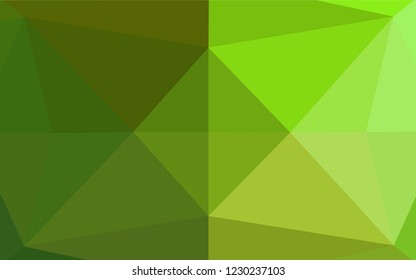 Light Green vector abstract polygonal layout. Brand new colored illustration in blurry style with gradient. The completely new template can be used for your brand book.