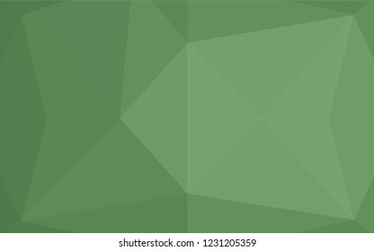 Light Green vector abstract polygonal cover. Glitter abstract illustration with an elegant design. A completely new template for your business design.