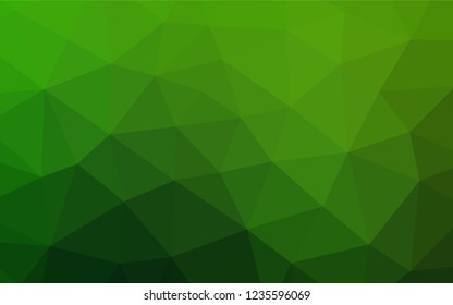 Light Green vector abstract polygonal layout. Colorful illustration in abstract style with gradient. The elegant pattern can be used as part of a brand book.