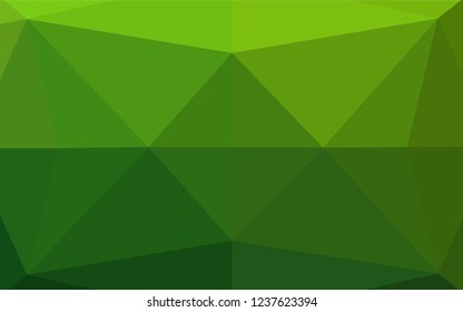 Light Green vector abstract polygonal cover. Geometric illustration in Origami style with gradient.  The polygonal design can be used for your web site.