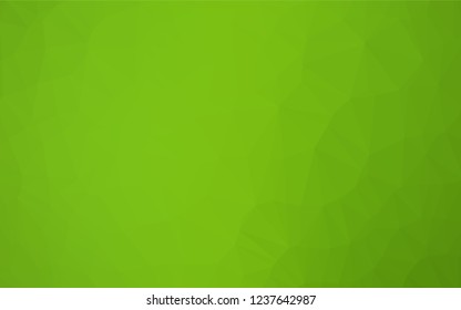 Light Green vector abstract polygonal layout. Creative geometric illustration in Origami style with gradient. A completely new template for your business design.