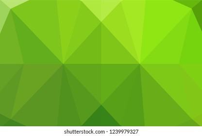 Light Green vector abstract polygonal cover. Shining illustration, which consist of triangles. The textured pattern can be used for background.