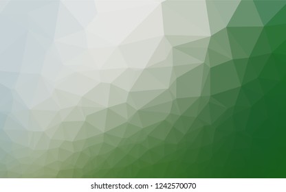 Light Green vector abstract polygonal cover. Brand new colored illustration in blurry style with gradient. A completely new design for your business.