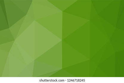 Light Green vector abstract polygonal layout. Geometric illustration in Origami style with gradient.  The polygonal design can be used for your web site.