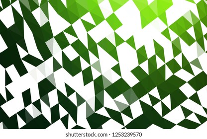 Light Green vector abstract polygonal cover. A completely new color illustration in a vague style. The completely new template can be used for your brand book.