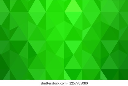 Light Green vector abstract polygonal template. Polygonal abstract illustration with gradient. Brand new design for your business.