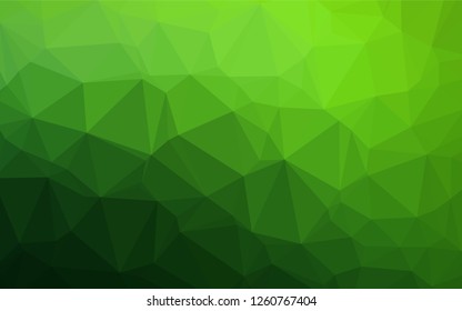 Light Green vector abstract polygonal cover. Shining colored illustration in a Brand new style. The best triangular design for your business.