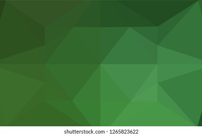 Light Green vector abstract polygonal layout. A completely new color illustration in a vague style. A completely new design for your business.