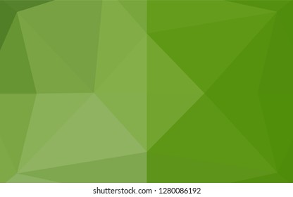 Light Green vector abstract polygonal texture. A sample with polygonal shapes. A completely new template for your business design.